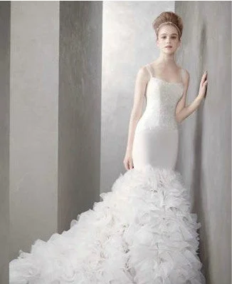 Your Shopping Spree Starts Here!Vera Wang Mermaid Style Ivory dress